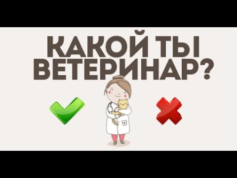 Ты готов стать ветеринаром? Проходим тест на ветврача.