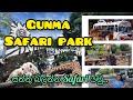 Japan’s Safari park | Gunma Safari park Japan | ළඟටම ගිහින් සත්තු බලමුද? Travel volg | sakura wehi