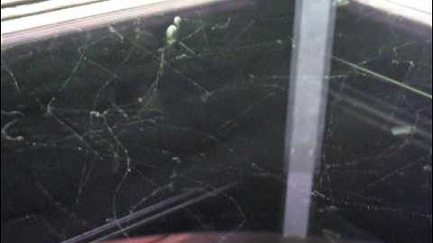 Cosmic Ray Detector at the New York Hall of Science