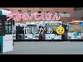 【凄腕運転士さん】夕方の博多バスターミナルは大忙し🤗