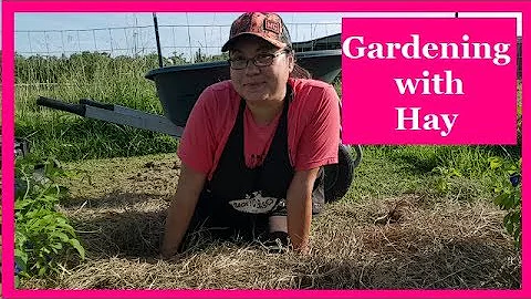 Is hay a bad choice for your garden? | Ruth Stout ...