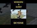 WHISKERS AND SUNNY SKY DIVE LTX 2 3 MULTIFRAME #LTX2.3 # MULTIFRAME #SHORT