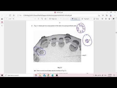 Solving November 2019 42 (0610/0970)