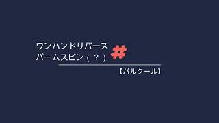 ワンハンドリバースパームスピン？【One Hand Reverse Palm Spin】かも スローモーション【Slow Motion】