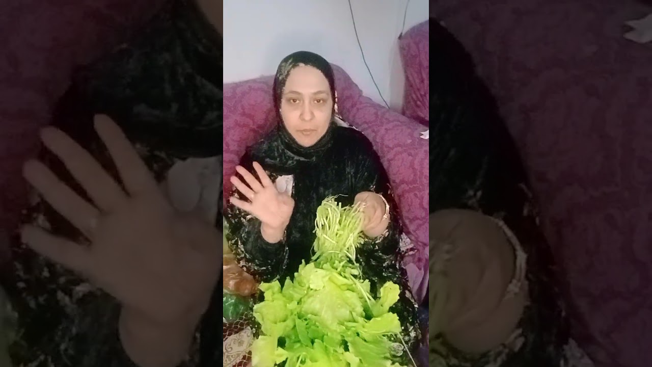 ٢٠ فبراير ٢٠٢٦