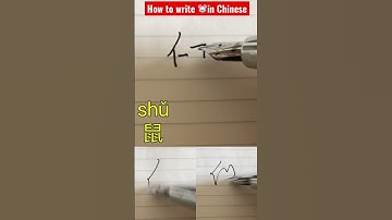 How to write “MOUSE” like a native Chinese ? One word per day #chinesecharacters #chinese