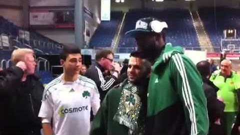 Prasina gualia gist lasme