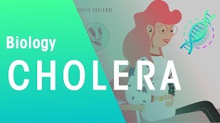 Cholera | Health | Biology | FuseSchool screenshot 3