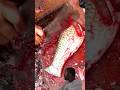 ye kya hua  😱🐠🐟 #fishhuntingfishing #fish #cuttingskills #fishinglife #shorts #shortsfeed #trending