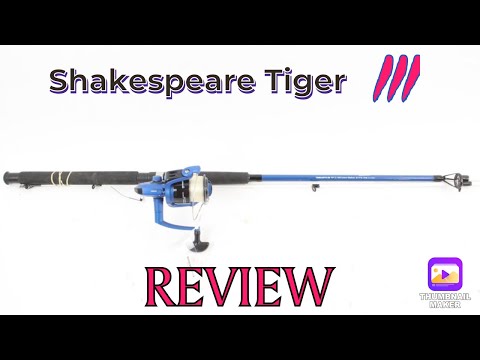 Shakespeare Tiger 3 Rod and Reel Review 