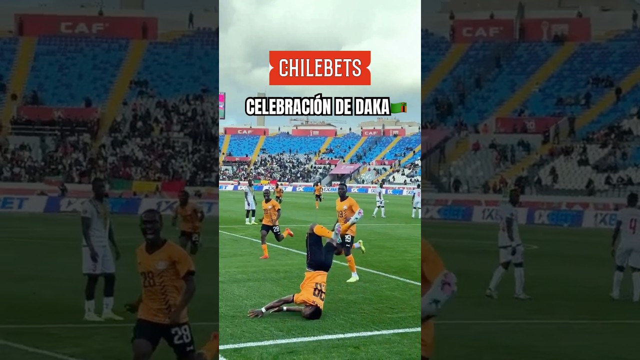 😱 La dolorosa celebración de Patson Daka t[...]