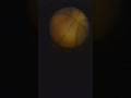 I read somewhere that mathematicians can turn a sphere inside out.