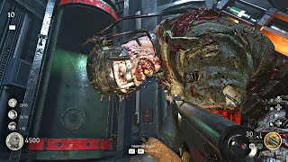 Call of Duty WW2 - Zombies Gameplay 2024 (No Commentary)