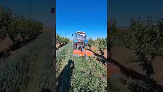 косилка Вектор в работе. #сельскоехозяйство #agriculture#косилка