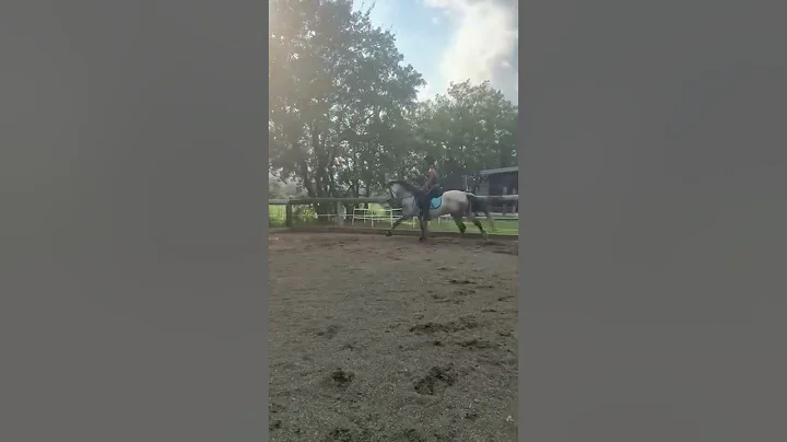 Training with Guapito