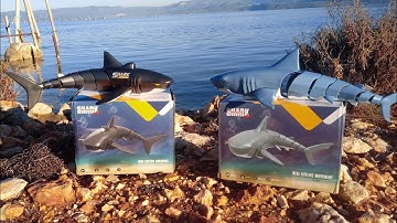 Real Sharks RC T1B1 Umboxing and Test Water