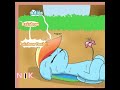 Rainbowdash La Dramatica - Naporita Fandub #mlp #fandub #rainbowdash #applejack #rarity
