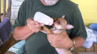 Lucy 024.Mov