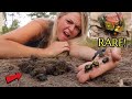 We FOUND America's RAREST Dung Beetle in Our DOG'S POOP!!!!! UNBELIEVABLE!