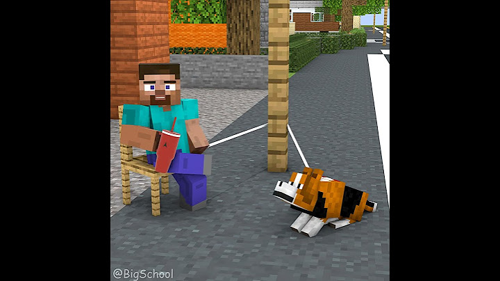 [Other Ending] When Steve And His Dog Don'T Give Away To Each Other 😂️