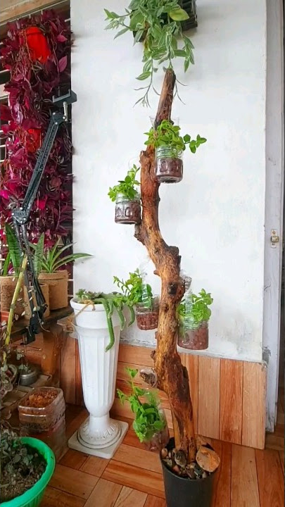 How to use branches creatively – 30 DIY projects for your home