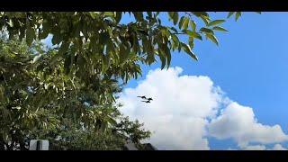 Cleveland National Air Show -- U.S. Navy Blue Angels -- Edgewater Park, Cleveland, Ohio -- 2024