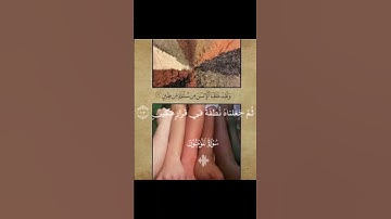 ولقد خلقنا الإنسان من سلالة من طين  #سورة_المؤمنون #القرآن_الكريم #ياسر_الدوسري