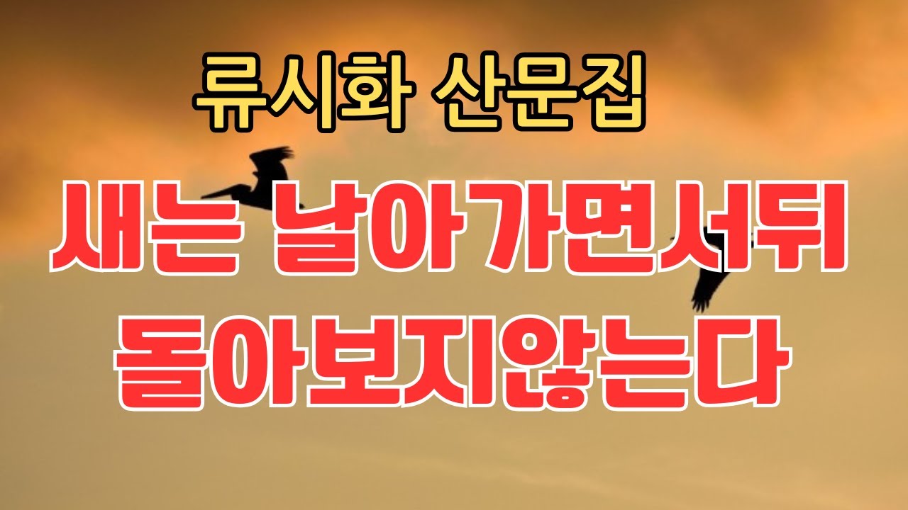 류시화산문집/새는날아가면서뒤돌아보지않는다/펄진책방/낭독테라피/에세이