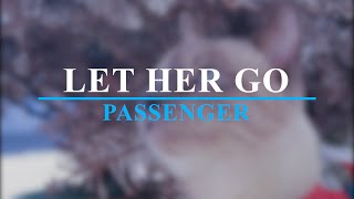 Let Her Go | Passenger || Lyrics | Letras