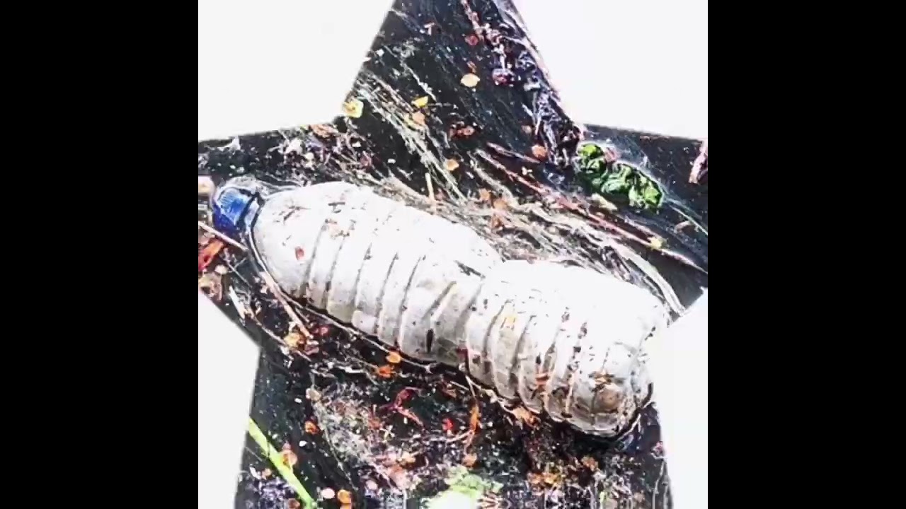 things that belong in the trash! 