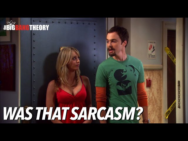 Was That Sarcasm? | The Big Bang Theory class=