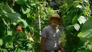 ATTACK OF THE BUMBLEBEES PART TWO at SHADY GROVE FARM WV