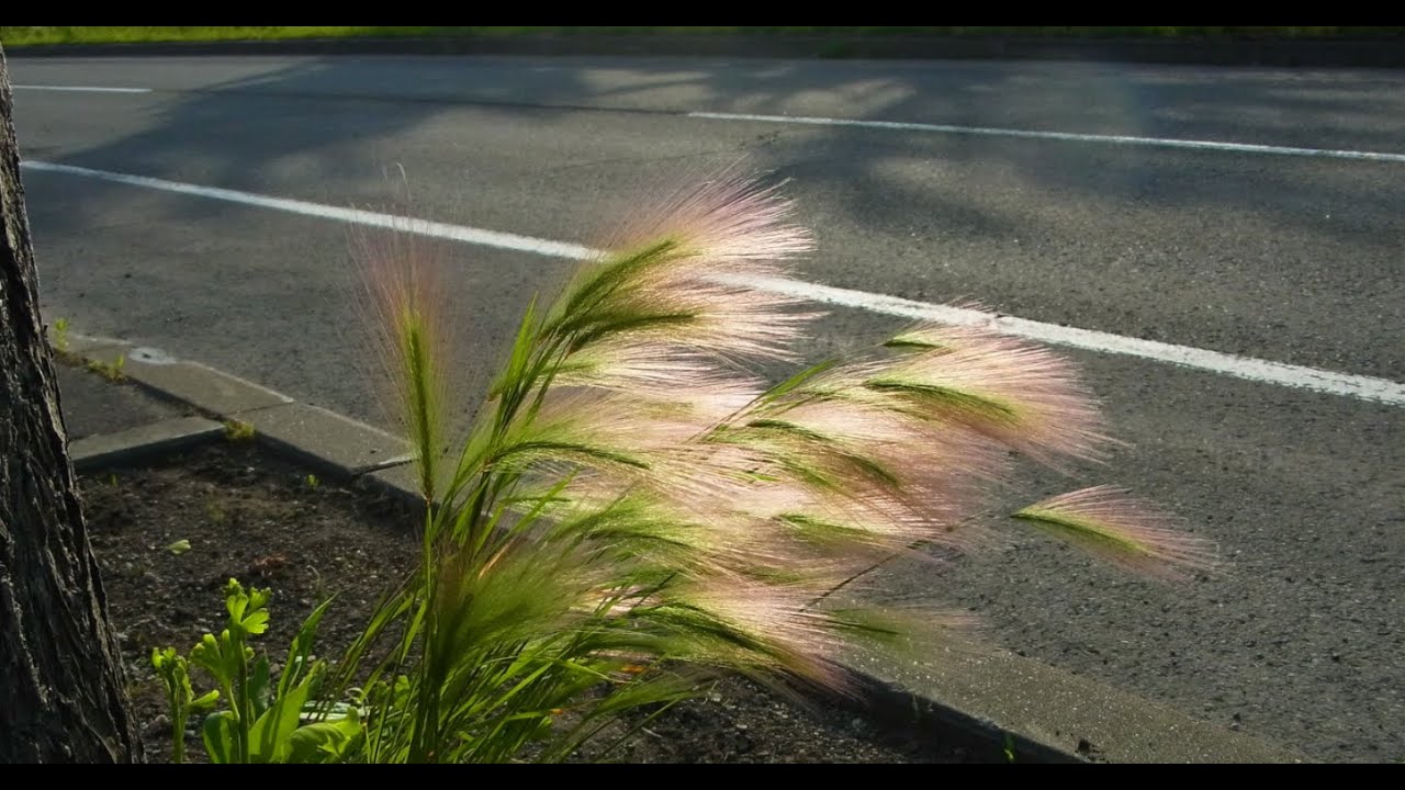 2025 歩きの旅　2日目　野幌〜岩見沢編