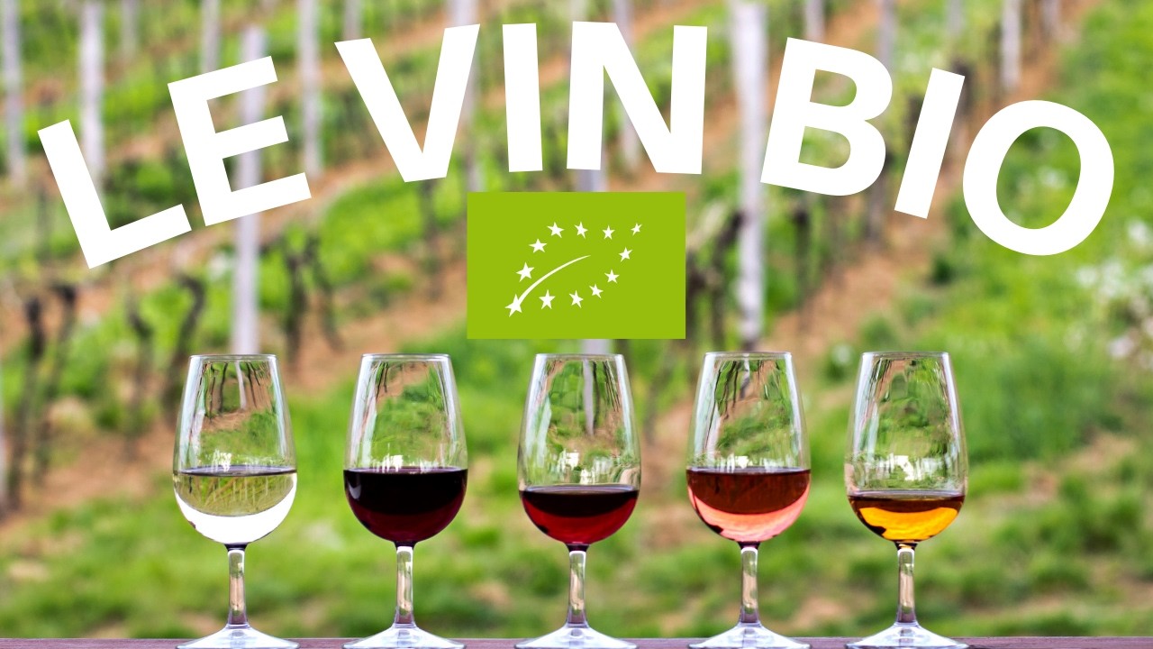 Le vin bio est il meilleur ?