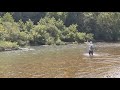 Wild ozarks smallmouth on the fly fly fishing for smallmouth ozarkseuro