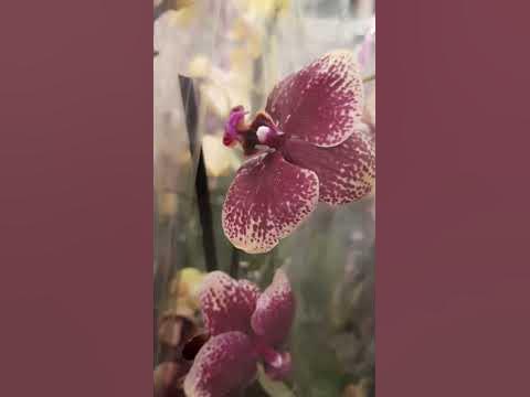 Леруа Мерлен,г.Омск. - YouTube