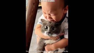 Celebrity Cats With Babies ❤️🥺||#cat #emotional #pets #cute #catvideos #kitten Wealth
