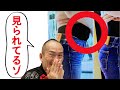 男女必見!!ポッコリお腹を一瞬にして消す方法!!【ストレッチトレーナー兼子ただしチャンネル】
