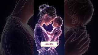 શું તમે જાણો છો કે તમારા બાળકનો એક અંશ તમારામાં કાયમ માટે જીવંત રહે છે?