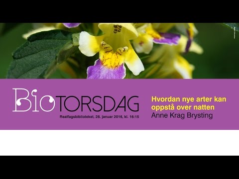 Video: Hvordan oppstår fragmentering biologi?