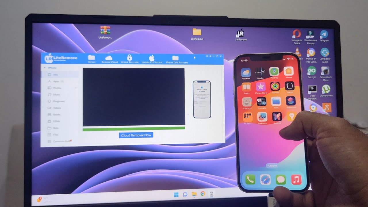 Iphone Locked To Owner Removal