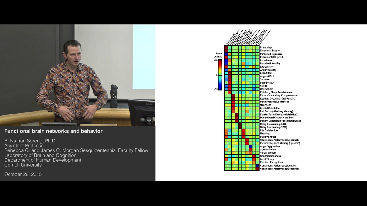 How do we study the brain?