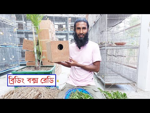 ভিডিও: নেস্টিং কি সবসময় হয়?