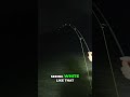 Massive Turtle Encounter: Our Epic Fishing Adventure! #shorts