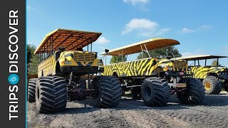 Monster truck safari at showcase ...
