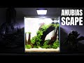 Aquascaping | ANUBIAS SCAPE
