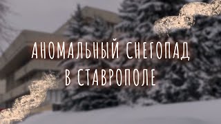 :    |  .   .   18.02.2025