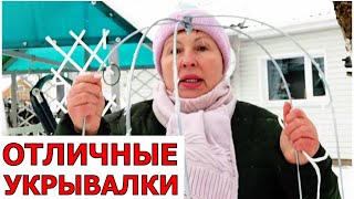 Отличные укрывалки- клеточки и зимой и летом. Утепляю прикоп. Проверка зимовки гортензий