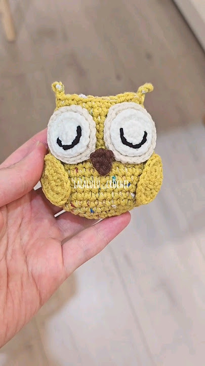 貓頭鷹真的好可愛啊🥰🥰#鉤針 #crochet #lalalulu #lalalulu #crochet #diy #handmade #鉤針  #耳機包 #毛線 #貓頭鷹