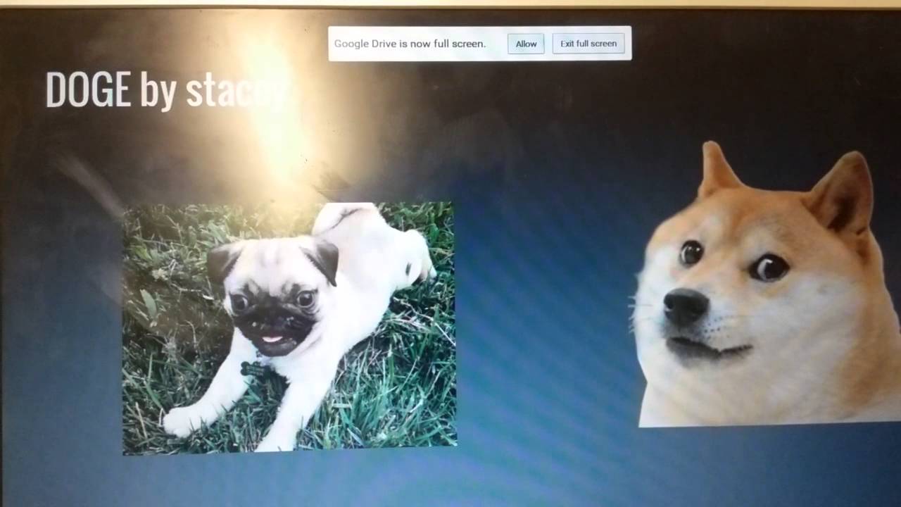 How to choose a pug name